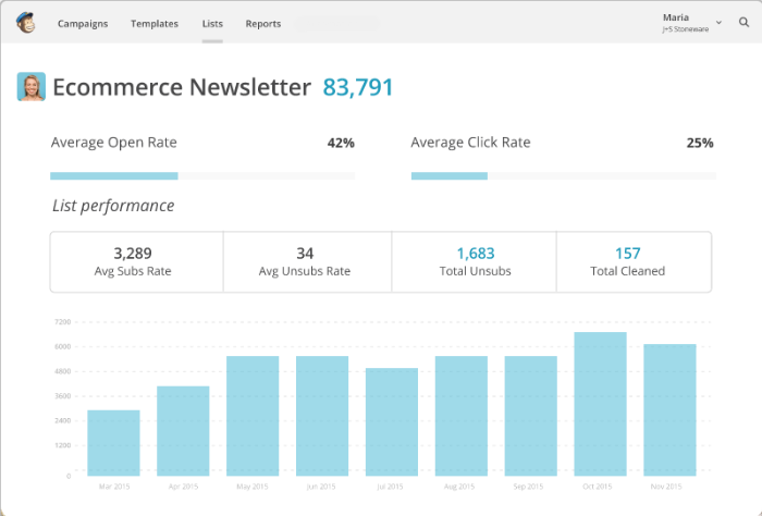 MailChimp Analytics