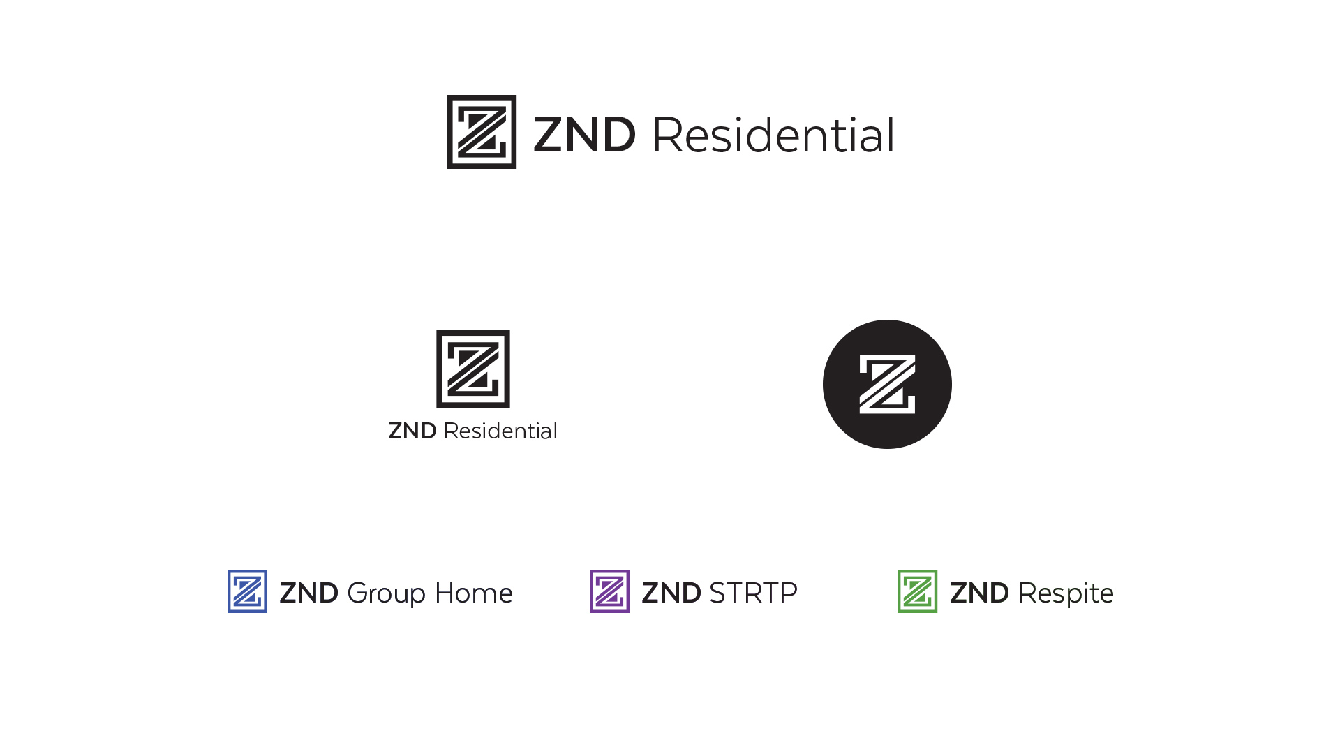 Presenting Logo Concepts-ZND Logo Reveal-Variations